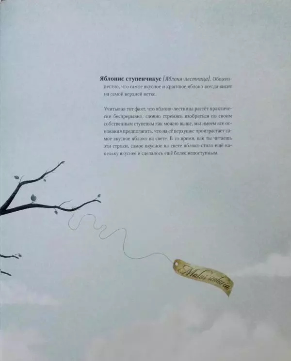 Иван Барренетксеа - Ботанистика Натуралис Ботануса Дульсимера - Страница № 22