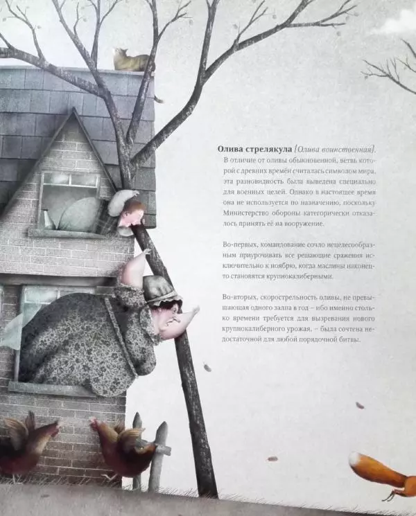 Иван Барренетксеа - Ботанистика Натуралис Ботануса Дульсимера - Страница № 26