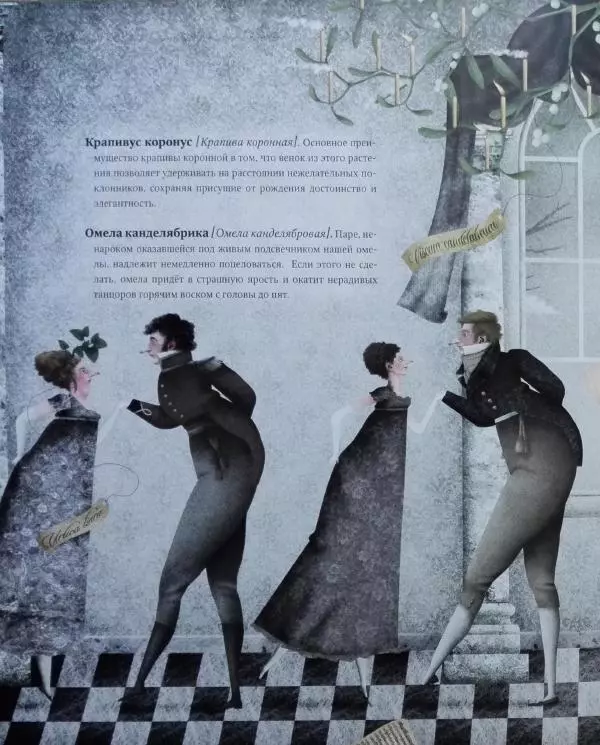 Иван Барренетксеа - Ботанистика Натуралис Ботануса Дульсимера - Страница № 33