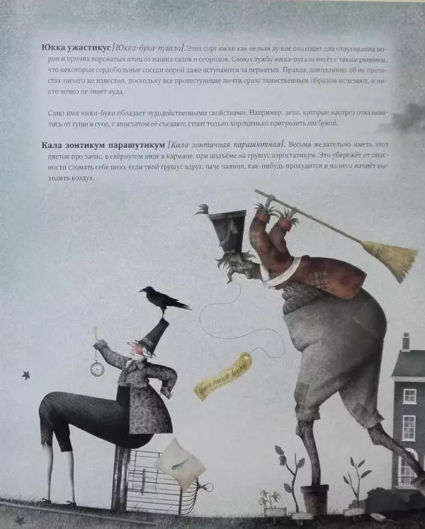 Иван Барренетксеа - Ботанистика Натуралис Ботануса Дульсимера - Страница № 38