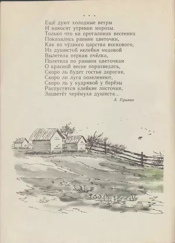 Александр Пушкин - Грачи прилетели. Стихи, рассказы, сказки - Страница № 8