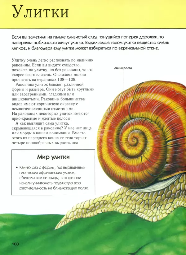  Автор неизвестен - Насекомые. Полная энциклопедия - Страница № 100