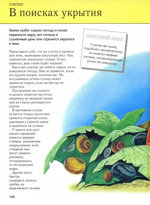  Автор неизвестен - Насекомые. Полная энциклопедия - Страница № 102