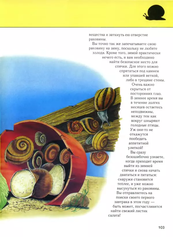  Автор неизвестен - Насекомые. Полная энциклопедия - Страница № 103