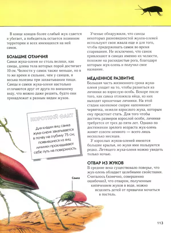  Автор неизвестен - Насекомые. Полная энциклопедия - Страница № 113