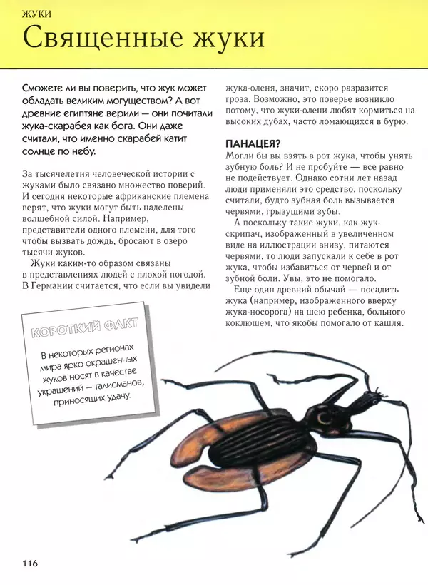  Автор неизвестен - Насекомые. Полная энциклопедия - Страница № 116