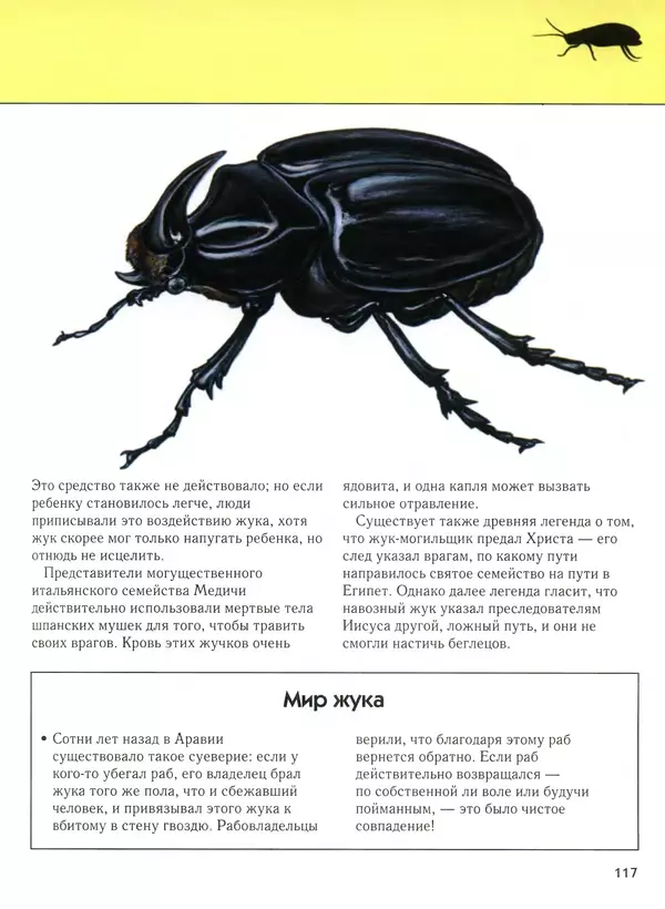  Автор неизвестен - Насекомые. Полная энциклопедия - Страница № 117