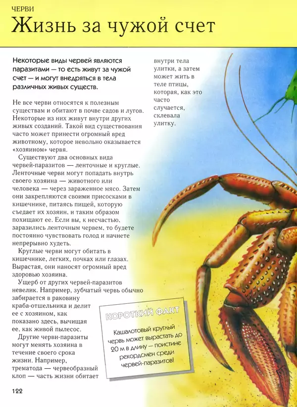  Автор неизвестен - Насекомые. Полная энциклопедия - Страница № 122