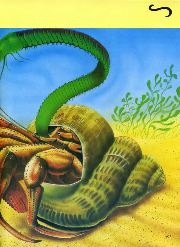  Автор неизвестен - Насекомые. Полная энциклопедия - Страница № 123