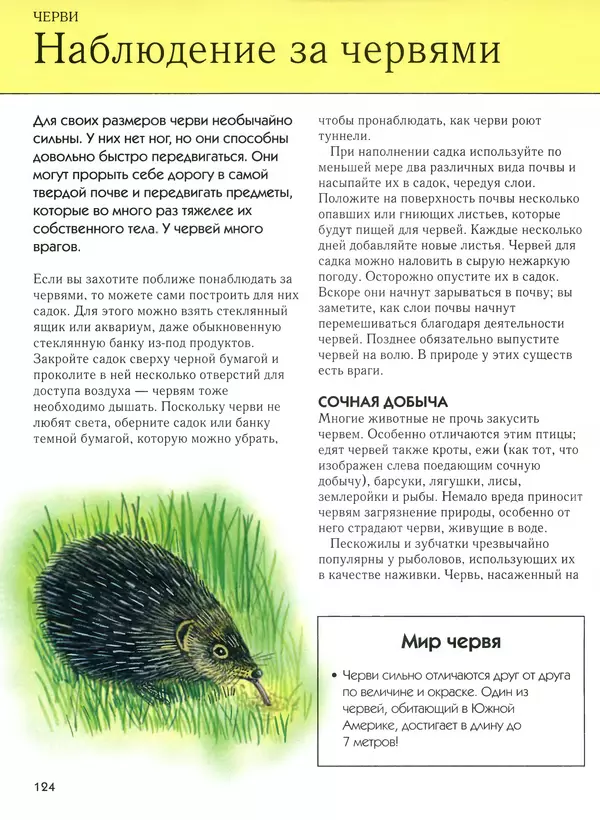  Автор неизвестен - Насекомые. Полная энциклопедия - Страница № 124