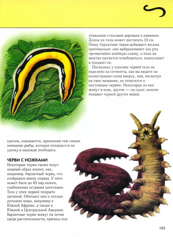  Автор неизвестен - Насекомые. Полная энциклопедия - Страница № 125