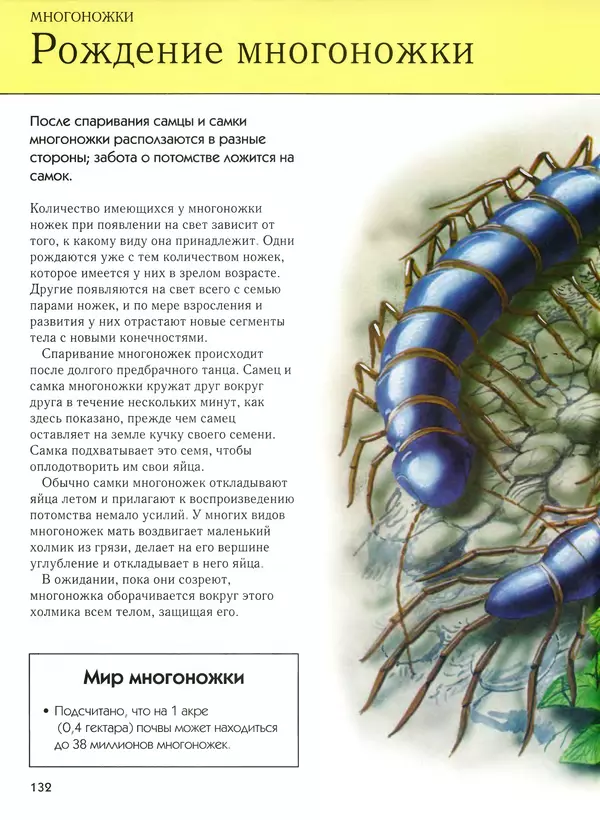  Автор неизвестен - Насекомые. Полная энциклопедия - Страница № 132