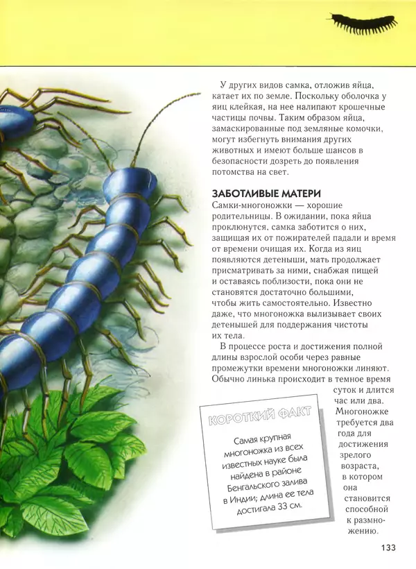  Автор неизвестен - Насекомые. Полная энциклопедия - Страница № 133