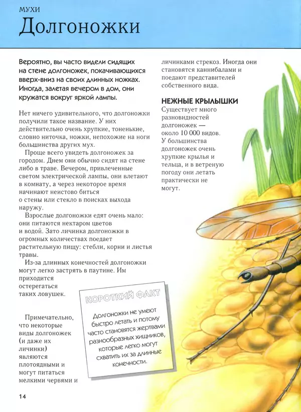  Автор неизвестен - Насекомые. Полная энциклопедия - Страница № 14