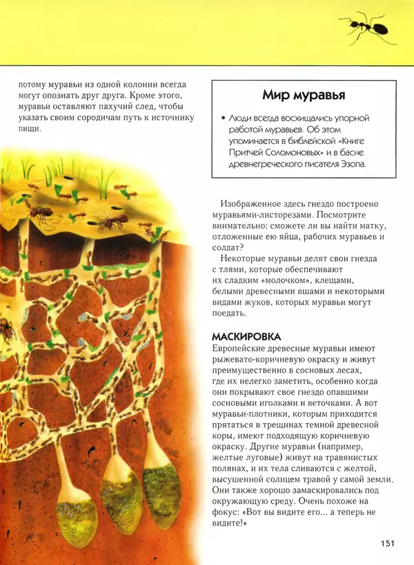  Автор неизвестен - Насекомые. Полная энциклопедия - Страница № 151