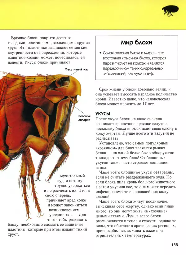  Автор неизвестен - Насекомые. Полная энциклопедия - Страница № 155