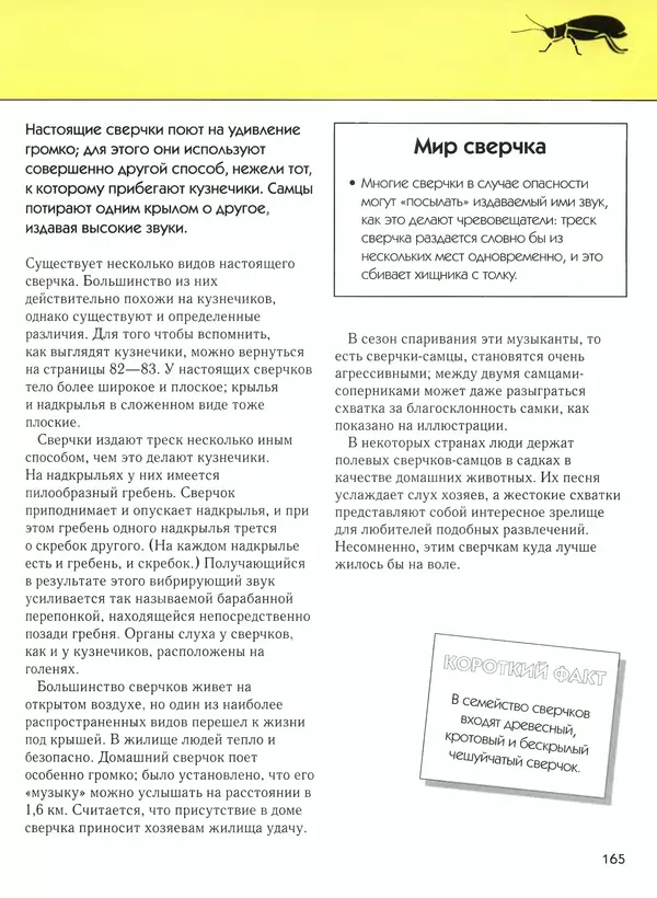  Автор неизвестен - Насекомые. Полная энциклопедия - Страница № 165