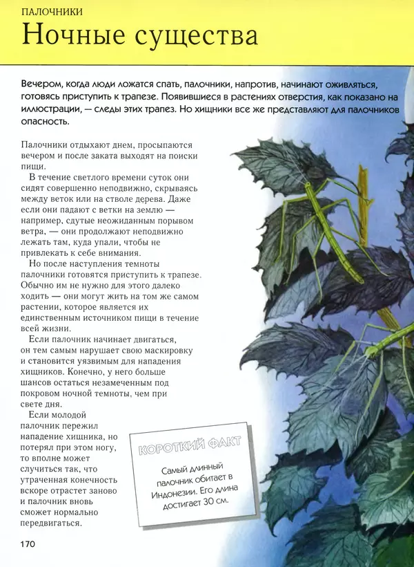  Автор неизвестен - Насекомые. Полная энциклопедия - Страница № 170