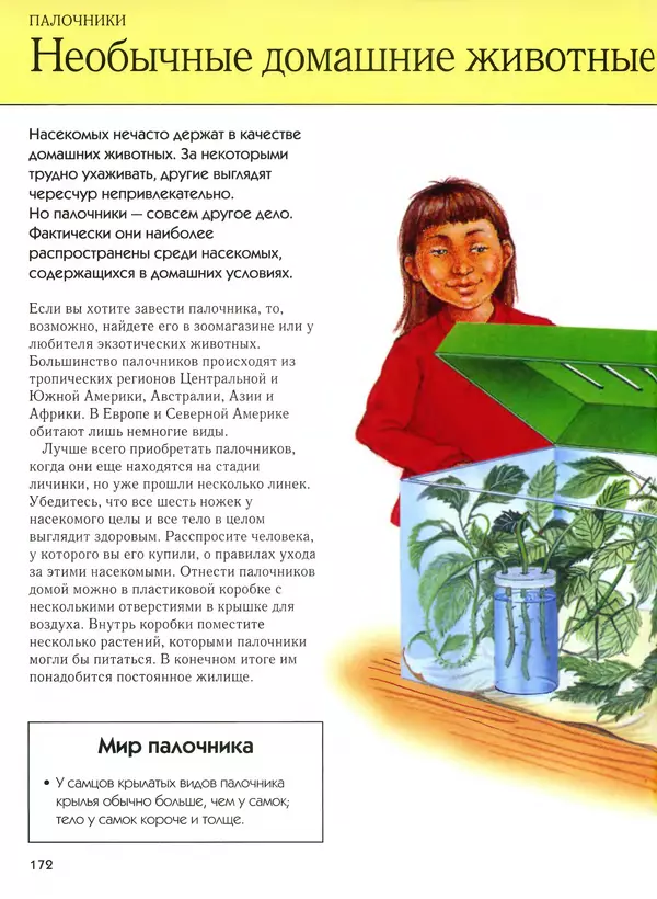  Автор неизвестен - Насекомые. Полная энциклопедия - Страница № 172