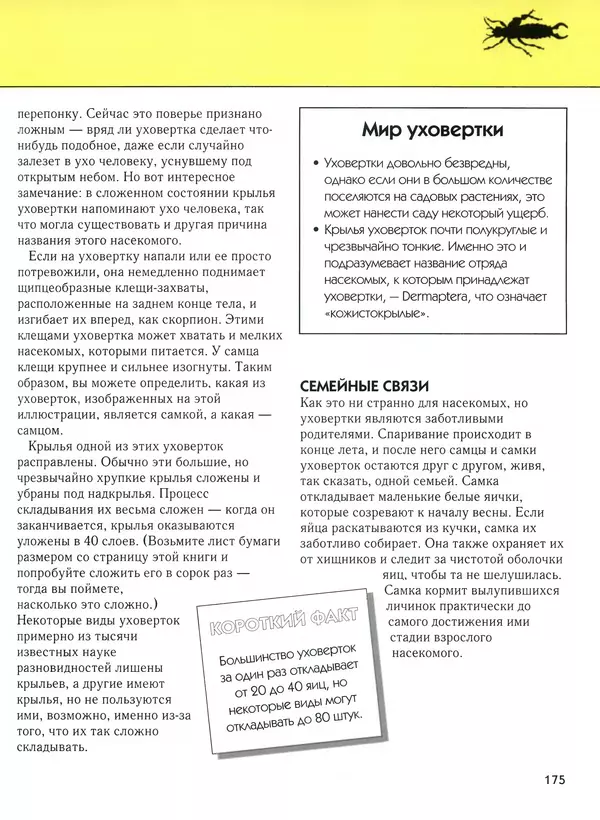  Автор неизвестен - Насекомые. Полная энциклопедия - Страница № 175