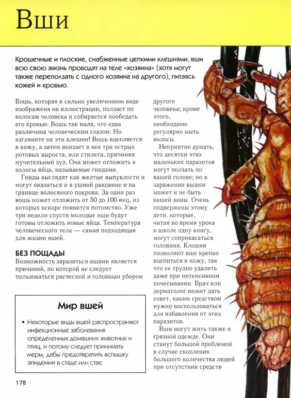  Автор неизвестен - Насекомые. Полная энциклопедия - Страница № 178