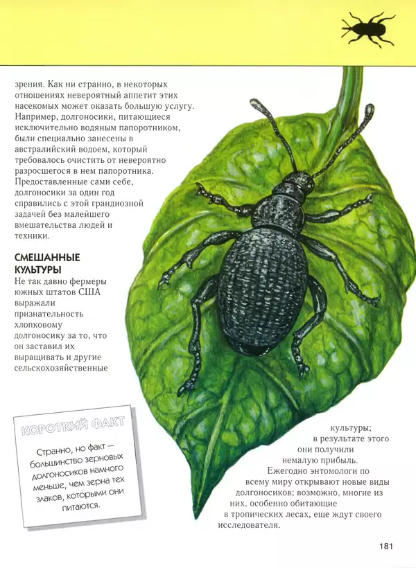  Автор неизвестен - Насекомые. Полная энциклопедия - Страница № 181
