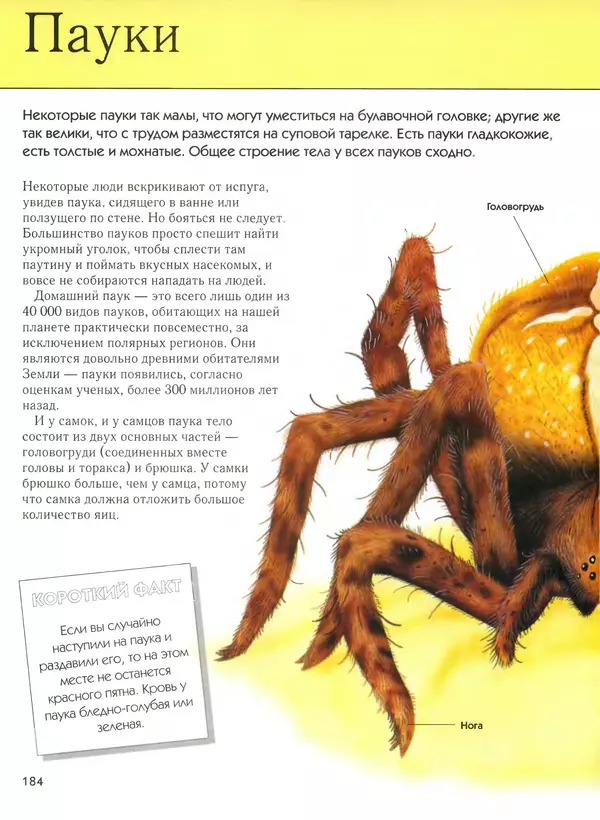  Автор неизвестен - Насекомые. Полная энциклопедия - Страница № 184