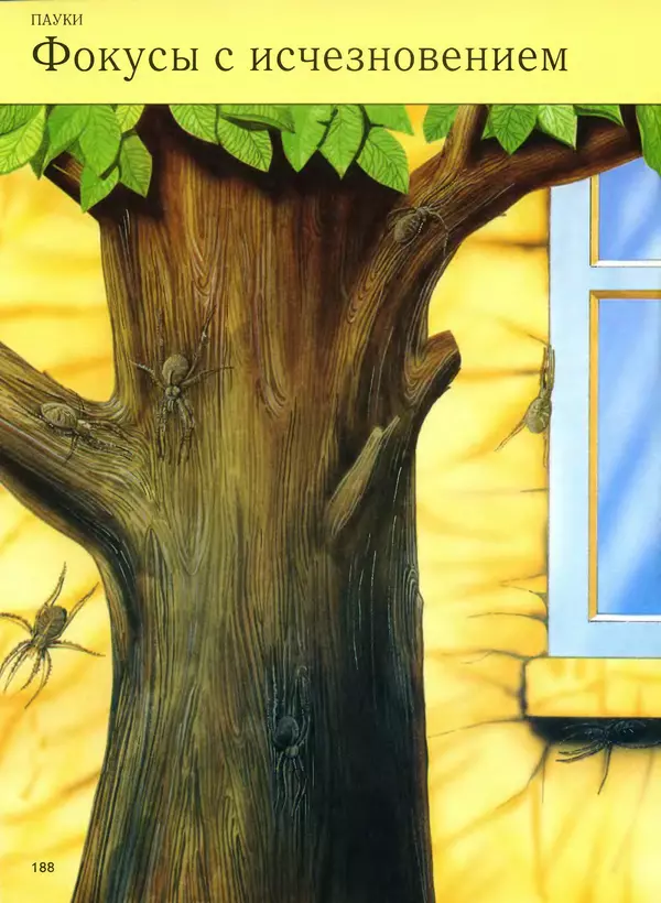  Автор неизвестен - Насекомые. Полная энциклопедия - Страница № 188