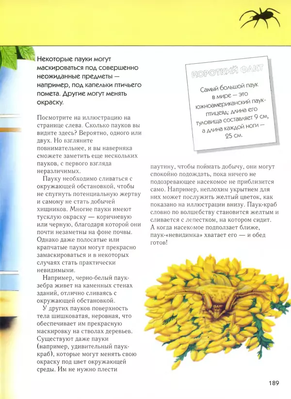  Автор неизвестен - Насекомые. Полная энциклопедия - Страница № 189