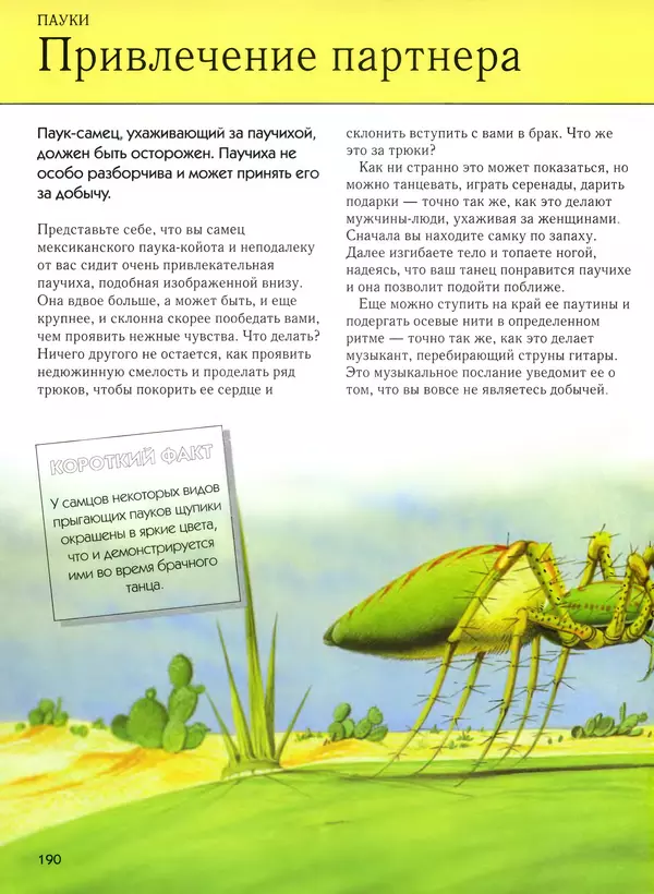  Автор неизвестен - Насекомые. Полная энциклопедия - Страница № 190