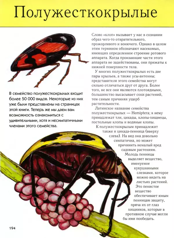  Автор неизвестен - Насекомые. Полная энциклопедия - Страница № 194