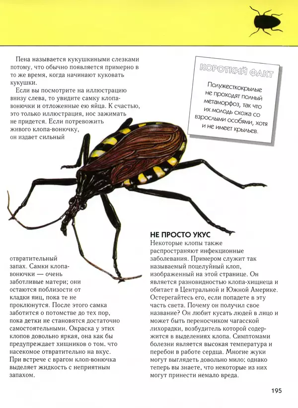  Автор неизвестен - Насекомые. Полная энциклопедия - Страница № 195