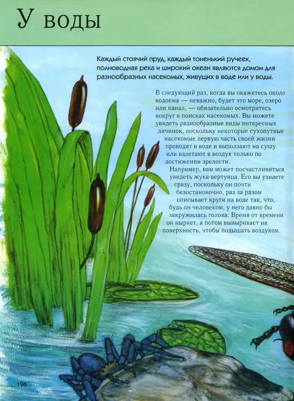  Автор неизвестен - Насекомые. Полная энциклопедия - Страница № 196