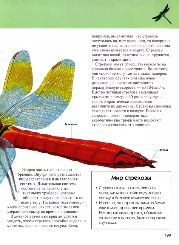  Автор неизвестен - Насекомые. Полная энциклопедия - Страница № 199