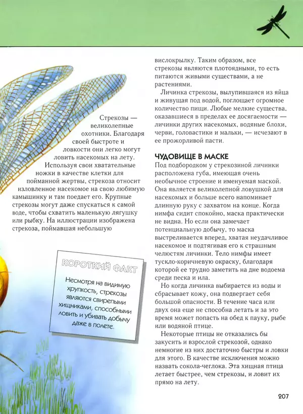  Автор неизвестен - Насекомые. Полная энциклопедия - Страница № 207