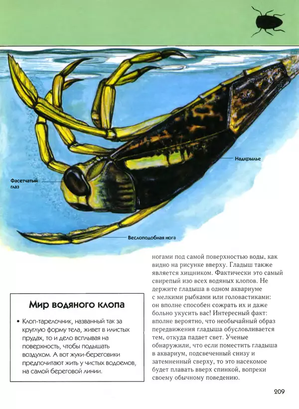  Автор неизвестен - Насекомые. Полная энциклопедия - Страница № 209