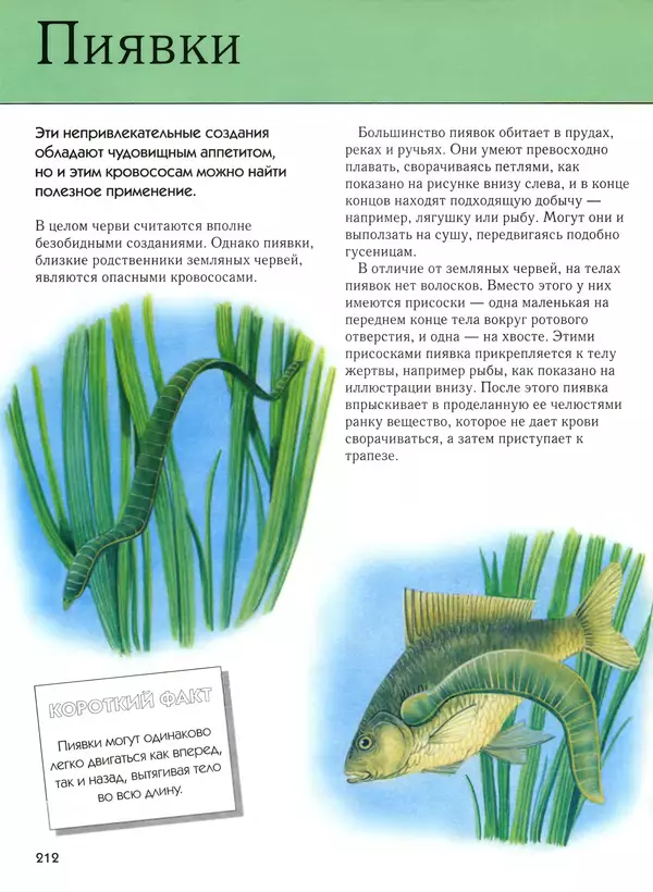  Автор неизвестен - Насекомые. Полная энциклопедия - Страница № 212