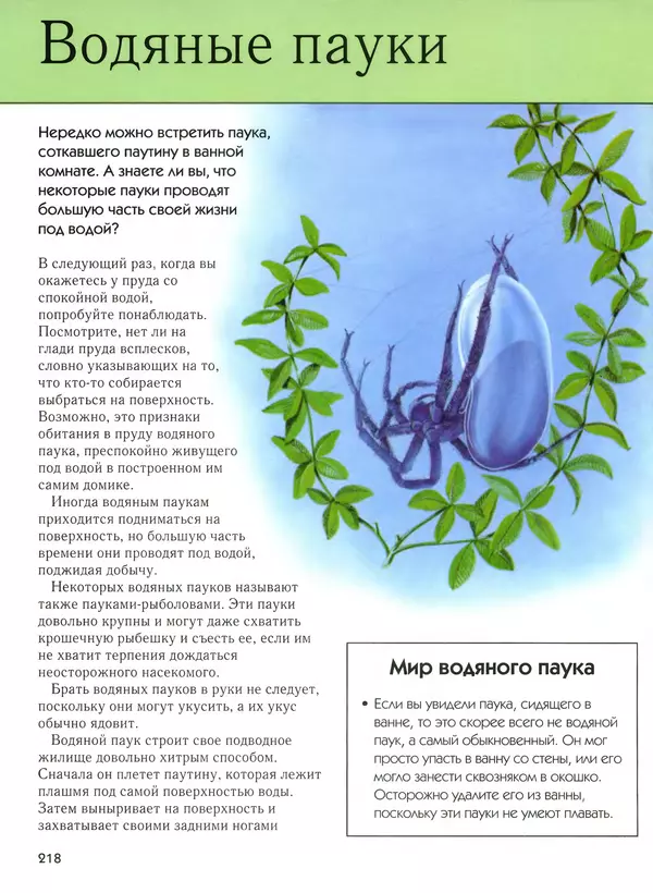 Автор неизвестен - Насекомые. Полная энциклопедия - Страница № 218