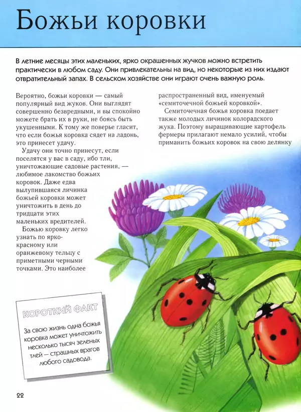  Автор неизвестен - Насекомые. Полная энциклопедия - Страница № 22