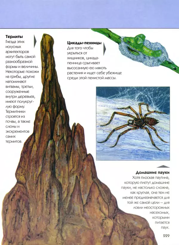  Автор неизвестен - Насекомые. Полная энциклопедия - Страница № 229