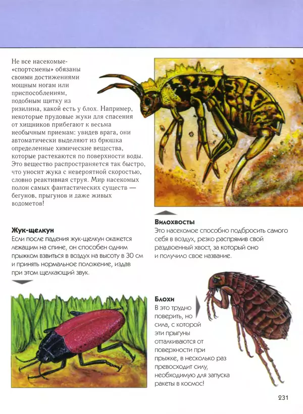  Автор неизвестен - Насекомые. Полная энциклопедия - Страница № 231