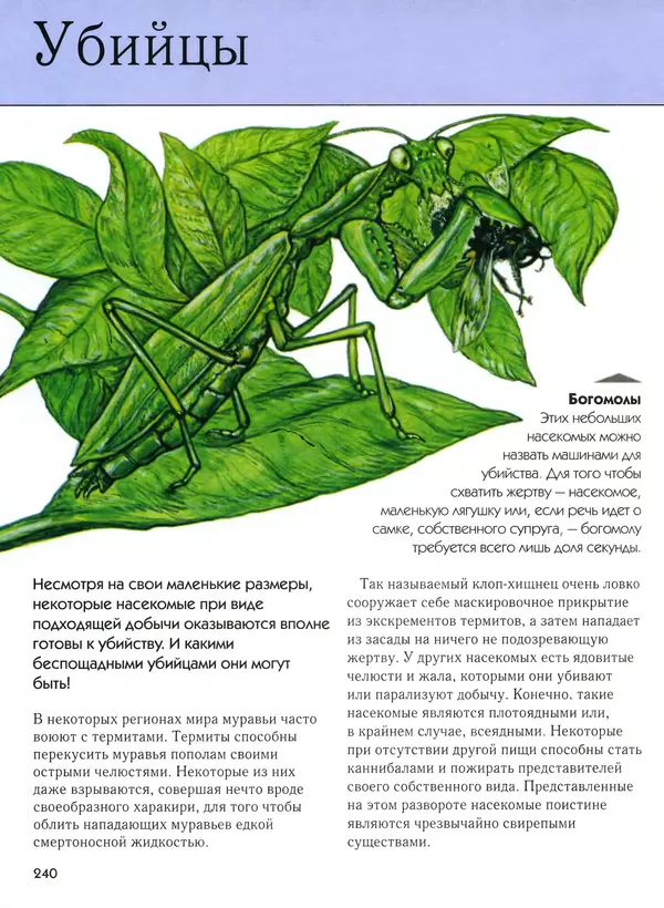  Автор неизвестен - Насекомые. Полная энциклопедия - Страница № 240