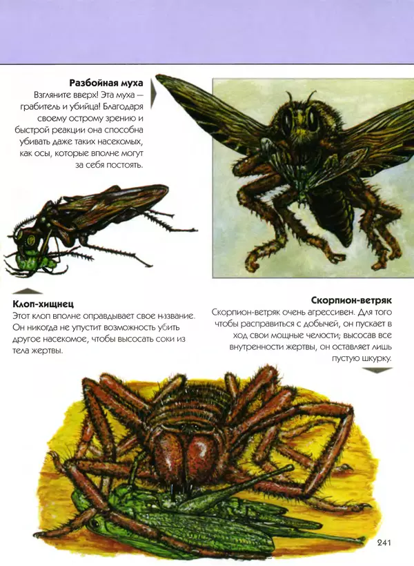  Автор неизвестен - Насекомые. Полная энциклопедия - Страница № 241
