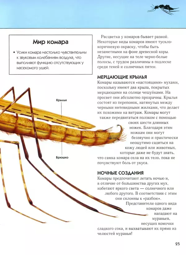  Автор неизвестен - Насекомые. Полная энциклопедия - Страница № 25