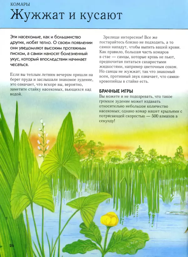  Автор неизвестен - Насекомые. Полная энциклопедия - Страница № 26
