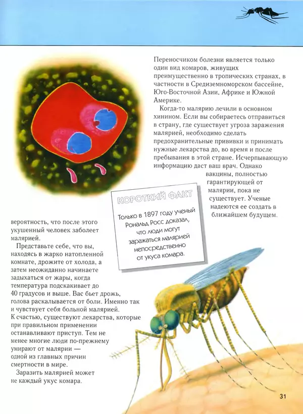  Автор неизвестен - Насекомые. Полная энциклопедия - Страница № 31