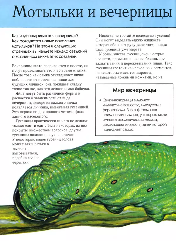 Автор неизвестен - Насекомые. Полная энциклопедия - Страница № 44