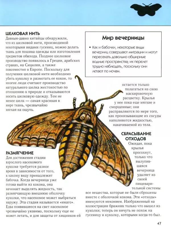  Автор неизвестен - Насекомые. Полная энциклопедия - Страница № 47