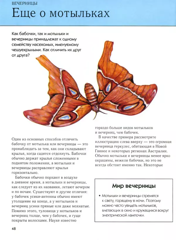  Автор неизвестен - Насекомые. Полная энциклопедия - Страница № 48