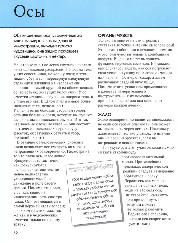  Автор неизвестен - Насекомые. Полная энциклопедия - Страница № 52